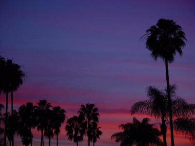 san diego sunset.jpg