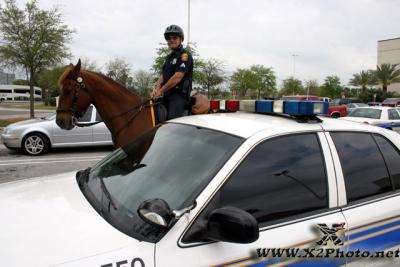 u7/thpproductions/medium/41167429.mountedbikepatrol099copy.jpg