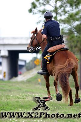 u7/thpproductions/medium/41167436.mountedbikepatrol202copy.jpg