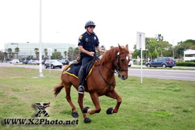 u7/thpproductions/medium/41167437.mountedbikepatrol213copy.jpg