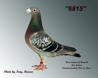 u7/tmoares/medium/41268457.6815wtitlescopyweb.jpg