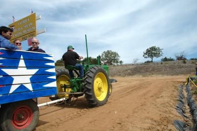 The flower fields at Carlsbad Ranch