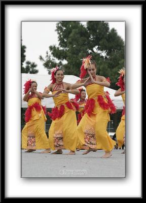 IMG_4629.jpg
