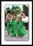 IMG_4611.jpg
