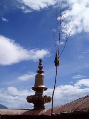 Detail of roof ornament and a branch perched on the ledge.