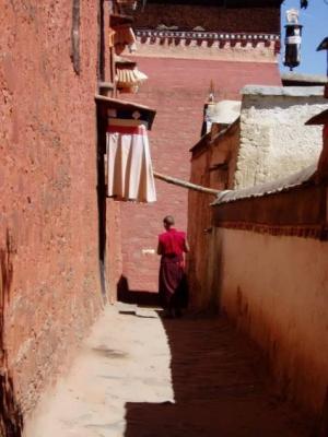Monk in alley v2.