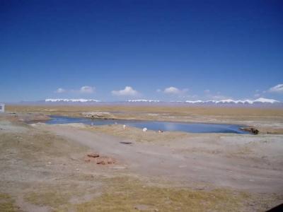 Pond at the Changtang Nature preserve ranger station.