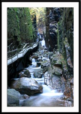 The Flume, a natural gorge formed along a stream in Franconia Notch. Absolutely beautiful.