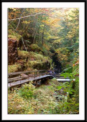 Emerging from the gorge at the Flume into the sunlight. The wooden walkway extends from the top to the bottom of the gorge.