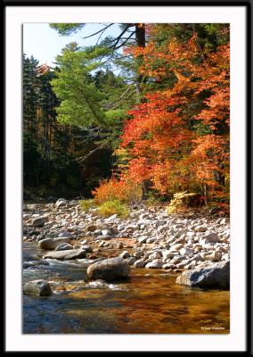 The Swift River, in the midst of peak foliage, which runs along the Kancamagus Highway in White Mountain National Forest in northern New Hampshire.