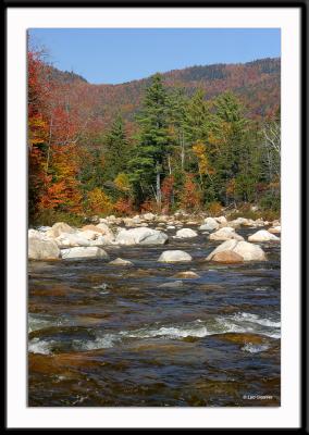 The Swift River in White Mountain National Forest.