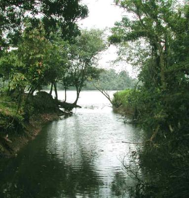 Boca de Rio Curenita