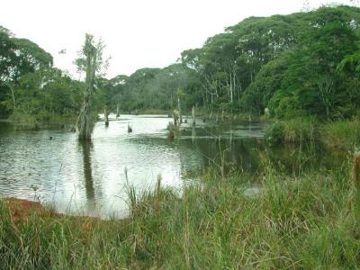 Laguna Maquenque TRANQUILIDAD
