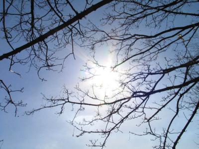 Catching the sun