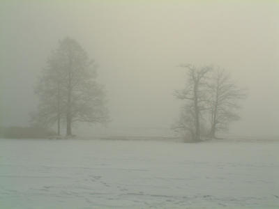 DSCF0025_2.jpg