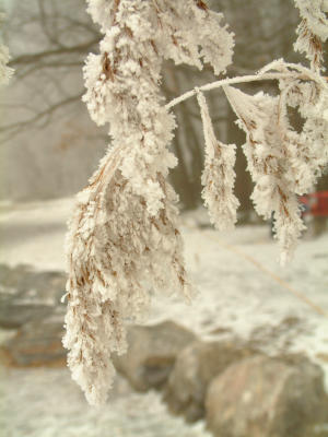 DSCF0027 Kopie.jpg