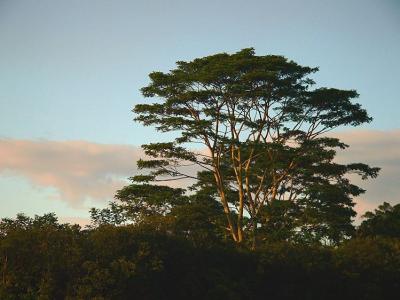First Light #2