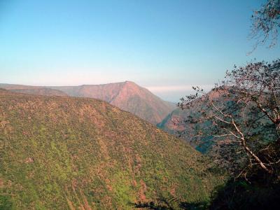 Waipi'o Valley #4