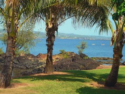 Hilo Bay #1