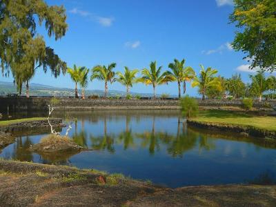 Lili'uokalani Gardens #2