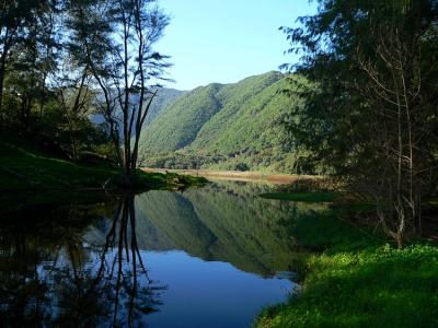 P1000882c