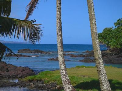 Hilo Bay #4