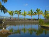 Liliuokalani Gardens #1