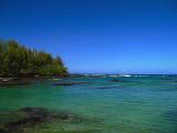 Hilo Bay #3