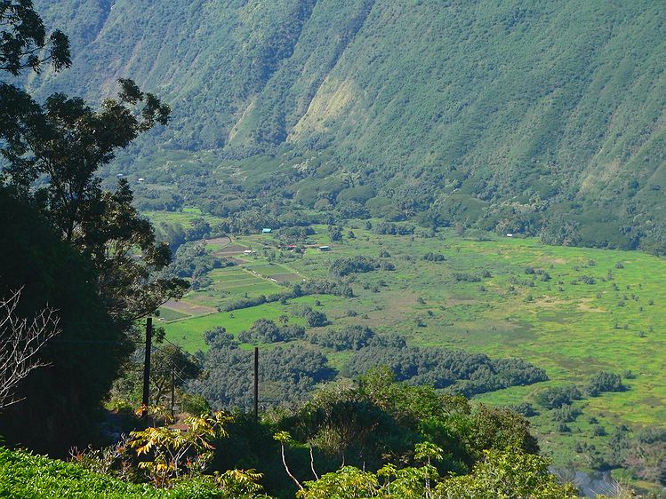Waipio Valley #2