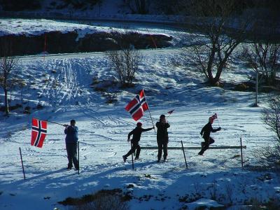 Saluting Trollfjord North of Lury.JPG