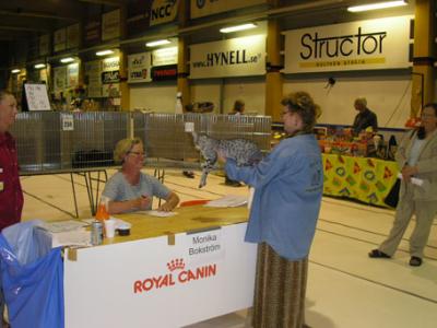 u7/waggawagga/medium/41155134.cm.jpg