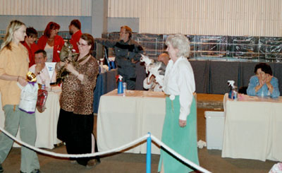 Best in Show