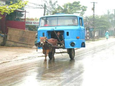 Cow - Truck