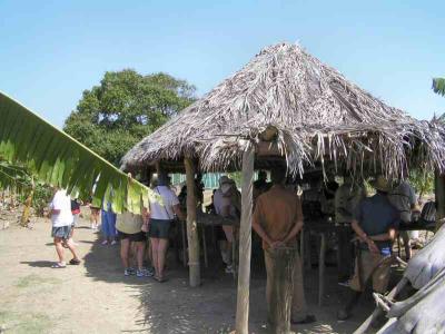 P3240168--Banana Plantation Thatch Shelter.JPG