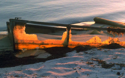 One of many amazing images taken during Gerry Marks' Light and Color on the Beach at Fire Island summer solstice artist's workshop at AMC Cabin at Atlantique, Fire Island, NY.  The object of the workshop was to help us prepare our work by thinking about how natural phenomenon will affect the subject.  In this case, we crawled out of our bunk beds at 4:30 AM to trek to a dock, where we watched the sun rise on the summer solstice (we followed the angle of the sun all day, and discussed how the phenomenon has impacted architectual and urban planning).  After photographing the sunrise, we headed back toward our cabin, when I spotted this derelict dory on the beach, its half-rotted, translucent hull glowing bright as a burning ember...June 22, 2001.  I was half-awake from the early time of day,  so didn't keep the technical details...alas...the new digital cameras do all that work for you!:>)  It was taken with one of two Pentax Super Takumar Multicoated Lenses, either the f 1.4 50 mm, the 28 mm.