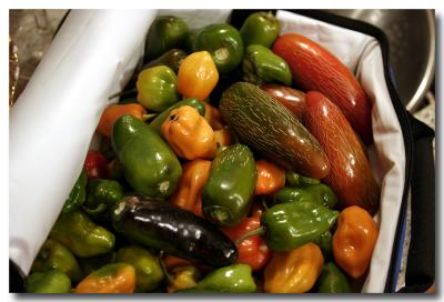 u7/willa/medium/22111634.FreshPickedPeppers800x600.jpg