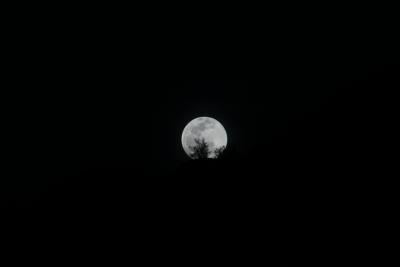 20050324-016.JPG