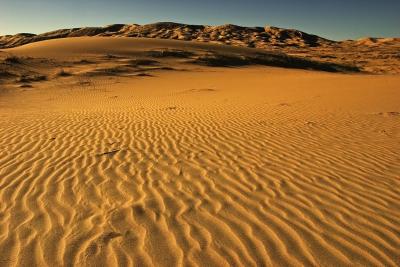 Kelso-Dunes1-upload.jpg