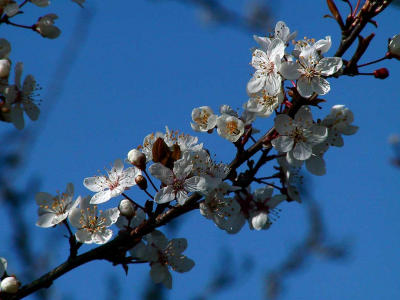Signs of Spring.jpg