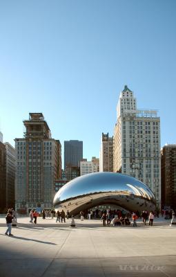 Giant Stainless Steel Bean