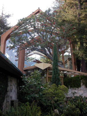 Glass Church - Palos Verdes