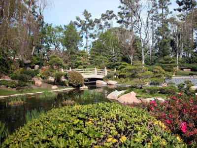 Japanese Garden- Cal State Long Beach