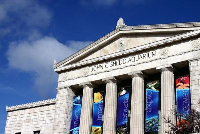 Shedd Aquarium