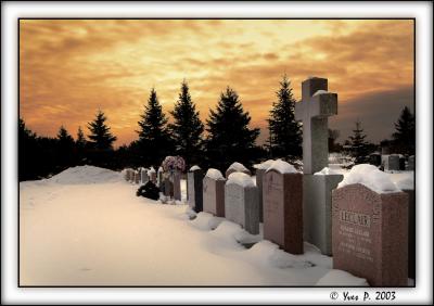u7/yp8/medium/22187511.Img0883mod2b.jpg