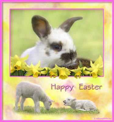 *** Happy Easter  ***