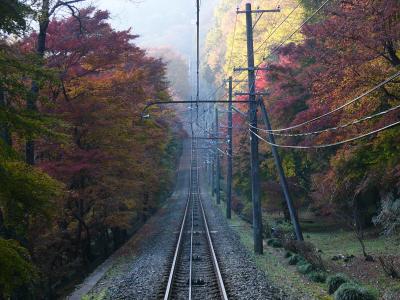 Takao in Tokyo