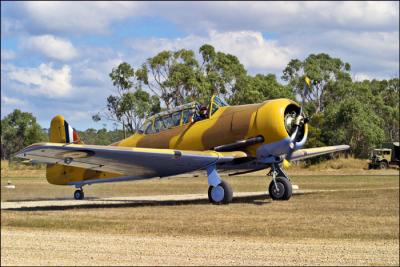 Harvard on the Taxiway