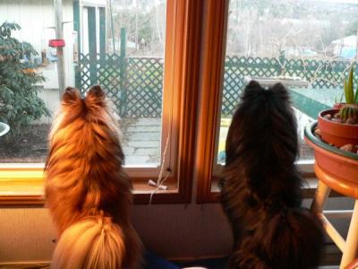 120504birdwatchers.jpg