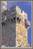 Tower of King David