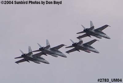 USN F/A-18 Hornets from VFA-201 over Miami Lakes military aviation stock photo #2783